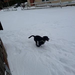 Meet your Posher, Marlee